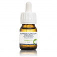 AOX SYSTÉM FERULIC SYNERGYAGE