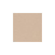 PUDR MEDIC SPF 15  02