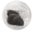 ŘASY  0,15x10 MM