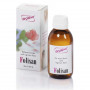 FOLISAN