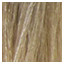 Barva TechnoFruit  10.0  100 ml  platin. Blond přír.