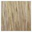 Barva TechnoFruit  10.31  100 ml  platin. Blond zlatá popel.