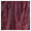 Barva TechnoFruit  6.666  100 ml  tm. Blond int. červ.