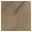 Barva NMT 10.31  60 ml  nejsvětlejší blond béžová