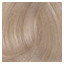 Barva NMT 1002X  60 ml  Platina